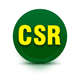 Click here to view CSR